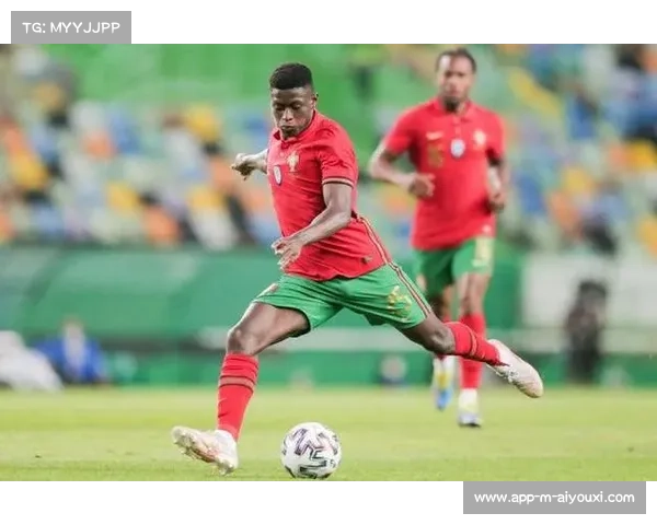 努诺门德斯坦言比赛艰难称匈牙利在场上展现更强信念与取胜决心